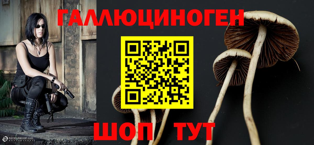 Псилоцибиновые грибы Cubensis  Галлюциногенные грибы Cubensis  Петровск  Вход с VPN 